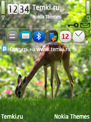 Бэмби для Nokia E5-00