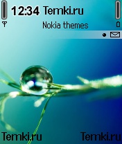 Капля на зеленом листе для Nokia N72