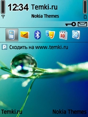 Капля на зеленом листе для Nokia E50