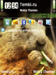 Минздрав предупреждает для Nokia N92