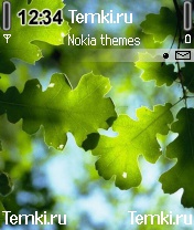 Листики для Nokia N90