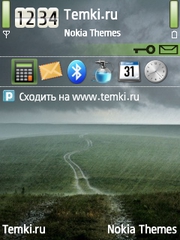 Техасский шторм для Nokia N81