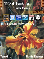 Оранжевый цветок для Nokia 6220 classic