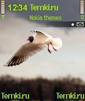 Птица в небе для Nokia 6600