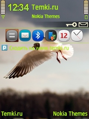Птица в небе для Nokia 6720 classic