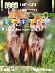 Лисички для Nokia X5 TD-SCDMA