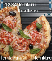 Пицца для Samsung SGH-Z600