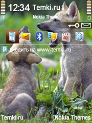 Щеночки для Nokia E61