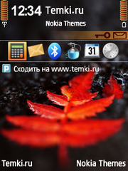 Красный лист для Nokia 6110 Navigator