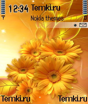 Золотые Цветы для Nokia 6680