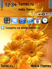 Золотые Цветы для Nokia 6110 Navigator