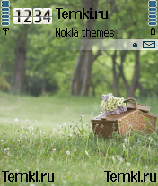 Лес для Nokia N70