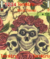 Скриншот №1 для темы Череп и розы