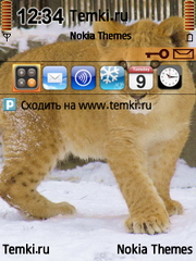 Львенок для Nokia 6700 Slide