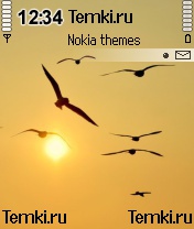 На закате для Nokia N70