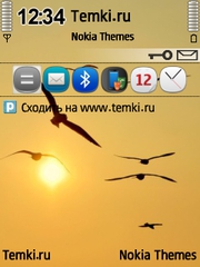 На закате для Nokia N73