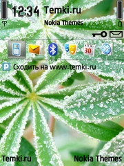 Листья после дождя для Nokia N95 8GB