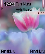 Прекрасный цветок для Nokia N72