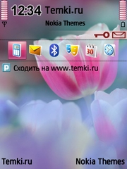 Прекрасный цветок для Nokia E66