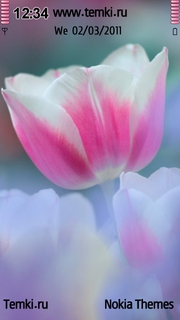 Прекрасный цветок для Sony Ericsson Kurara