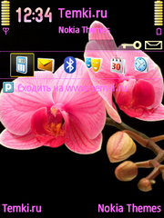 Ветка Розовой Орхидеи для Nokia E60