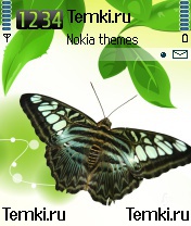 Бабочка для Nokia 6600
