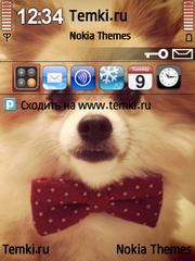 Псинка для Nokia N96-3