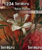 Белый цветок для Nokia 6670