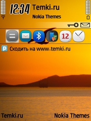 Птица в небе для Nokia N73