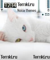 Белоснежная кошечка для Nokia 6630