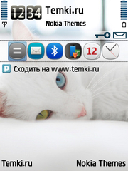 Белоснежная кошечка для Nokia 6760 Slide
