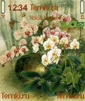 Лесные цветы для Nokia 6600