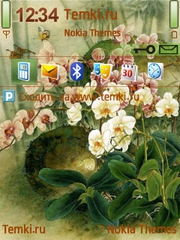 Лесные цветы для Nokia N75