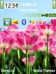Цветы для Nokia E65