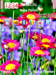 В ожидании весны для Nokia N93i