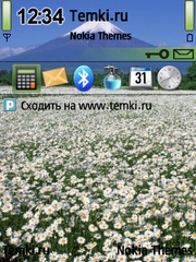 Красота для Nokia E55