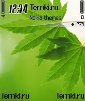 Два зеленых листа для Nokia N72