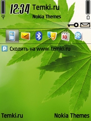 Два зеленых листа для Nokia 6700 Slide
