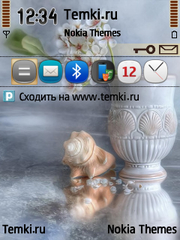 Цветы в вазе для Nokia E65
