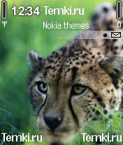 Перед броском для Nokia N72