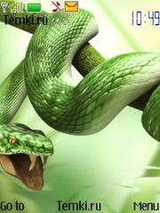 Змея для Nokia 6300