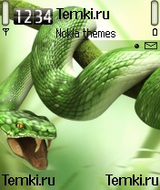 Змея для Nokia 6620