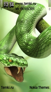 Змея для Nokia 5800