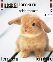 Кролик для Nokia 6620