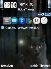 Кошечка для Nokia E61
