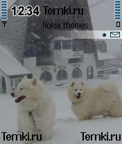 Псинки в снегопад для Nokia N72