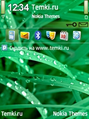 Роса на траве для Nokia 6124 Classic