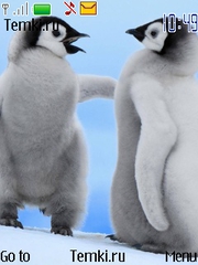 Два Пингвина для Nokia 110