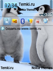 Два Пингвина для Nokia X5-01