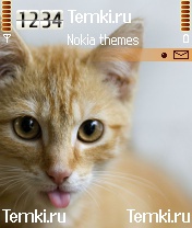 Рыжая кошка для Nokia 7610